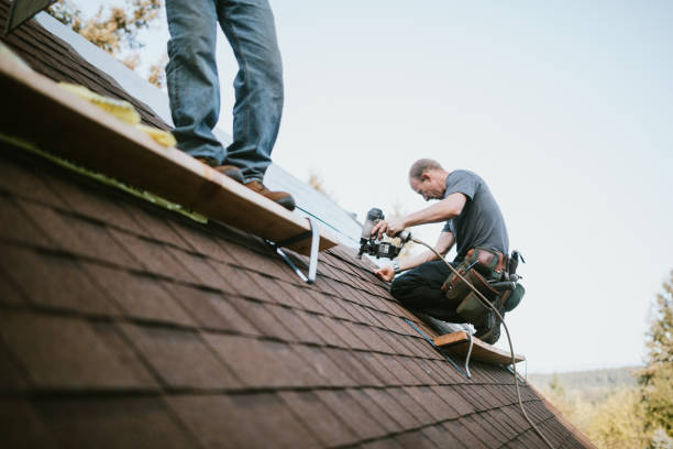 Best Metal Roofing Contractor  in Russell Springs, KY